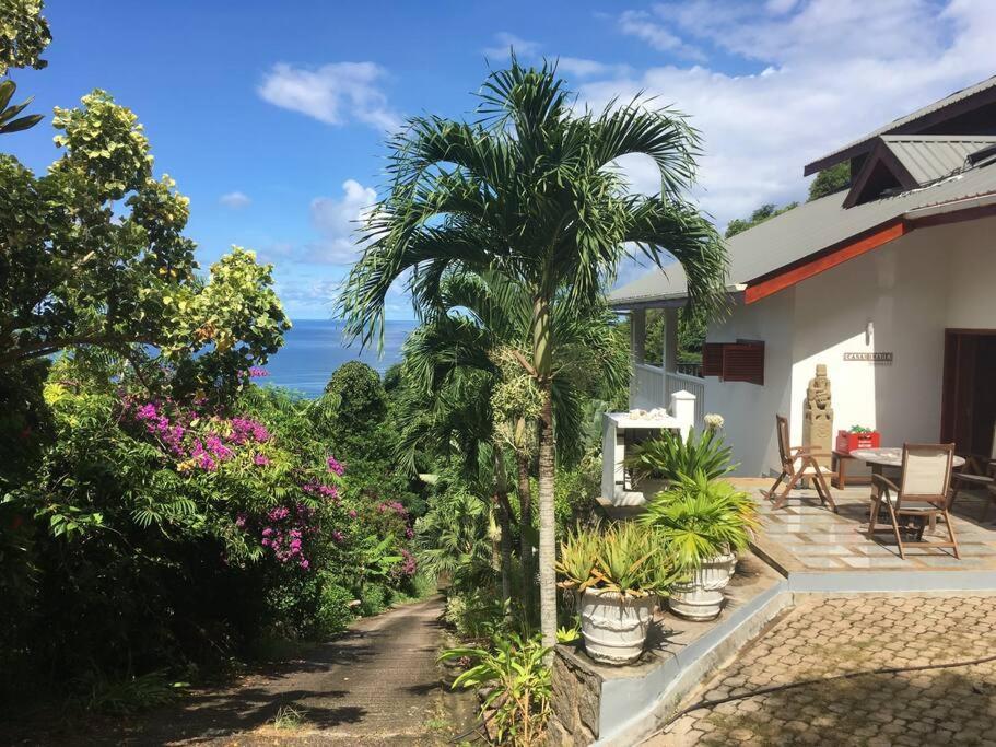 Hilltop South - Villa Bougainville تاكاماكا المظهر الخارجي الصورة