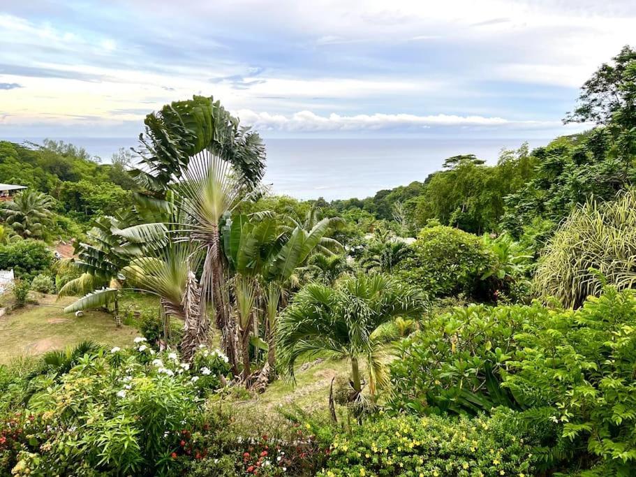 Hilltop South - Villa Bougainville تاكاماكا المظهر الخارجي الصورة